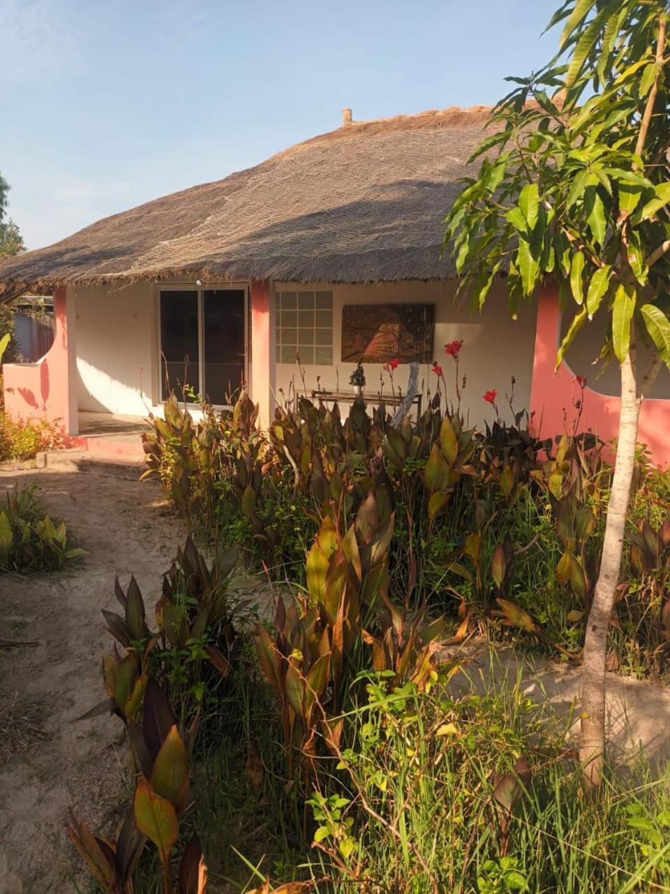 Campement Graine De Paradis Kachiouane Kültér fotó